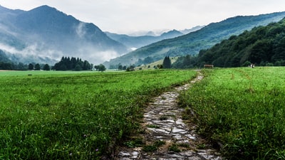广袤山谷中绿色植物之间的灰白色通道